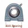 AMI UFL003C  Flange Block Bearings