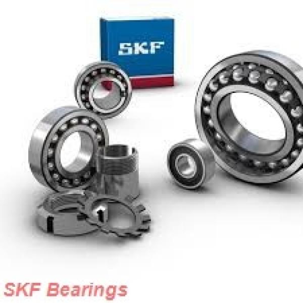170 mm x 360 mm x 120 mm  SKF NJG2334VH cylindrical roller bearings #2 image