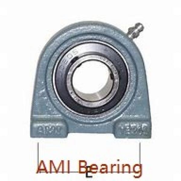 AMI BTM206-17  Flange Block Bearings #1 image