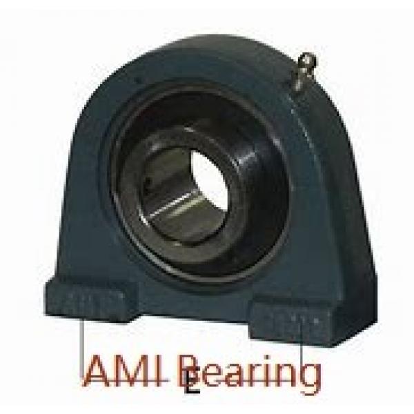 AMI UCT206CE  Take Up Unit Bearings #1 image