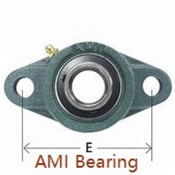AMI UG308-24  Insert Bearings Spherical OD #1 image
