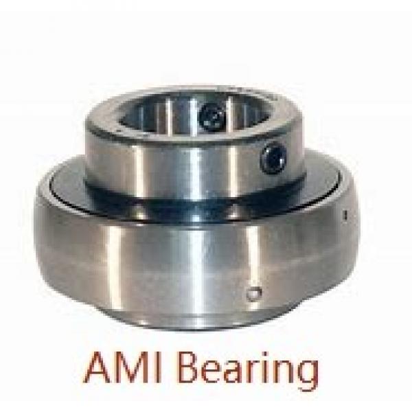 AMI MB6  Insert Bearings Spherical OD #1 image