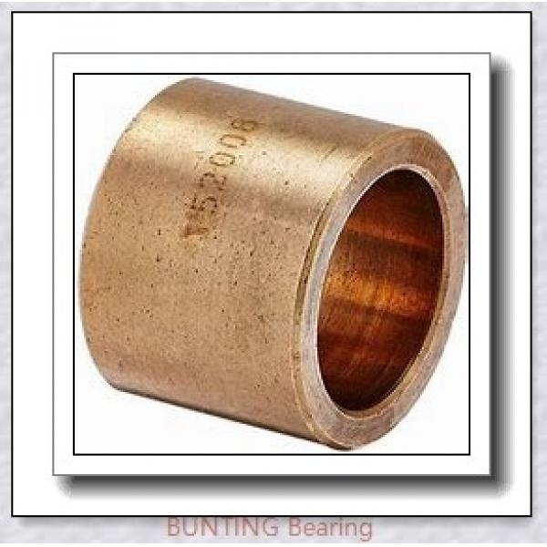 BUNTING BEARINGS AA130705 Bearings #1 image