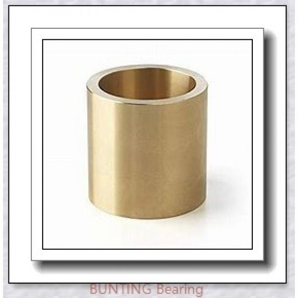 BUNTING BEARINGS FFM003006010 Bearings #1 image