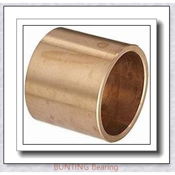 BUNTING BEARINGS BJ5S162006  Plain Bearings #1 image
