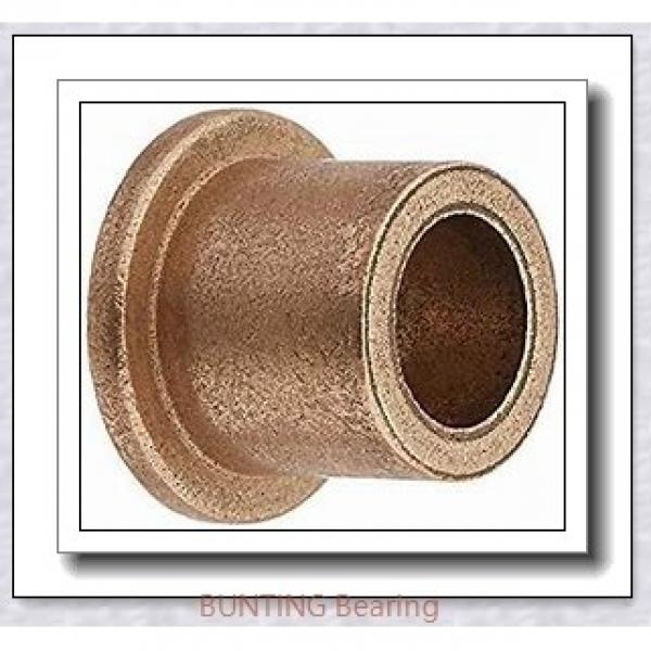 BUNTING BEARINGS BJ4S162008  Plain Bearings #1 image