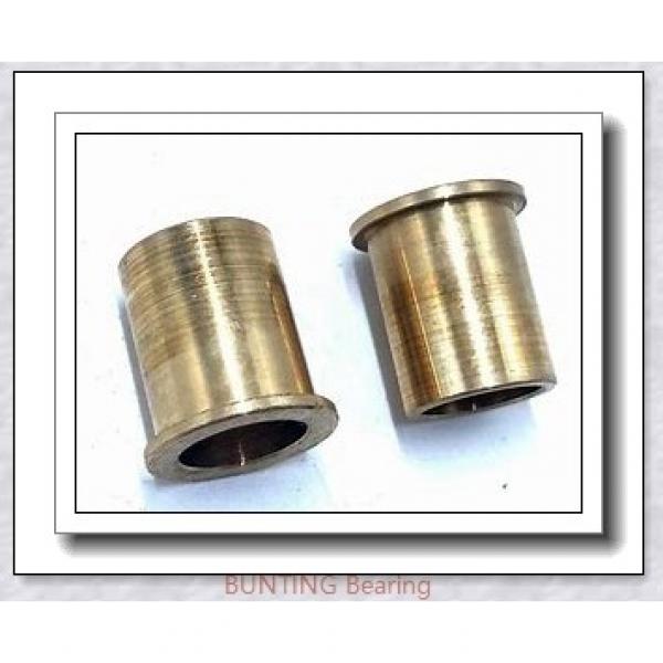 BUNTING BEARINGS FFM020024012 Bearings #1 image