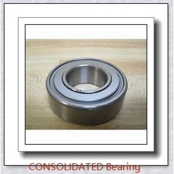 CONSOLIDATED BEARING 6006-2RS C/3  Single Row Ball Bearings #1 image