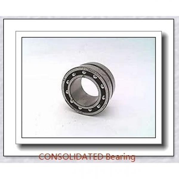 CONSOLIDATED BEARING 6010-ZZNR C/2  Single Row Ball Bearings #1 image