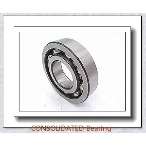CONSOLIDATED BEARING 24020 M  Roller Bearings #1 image